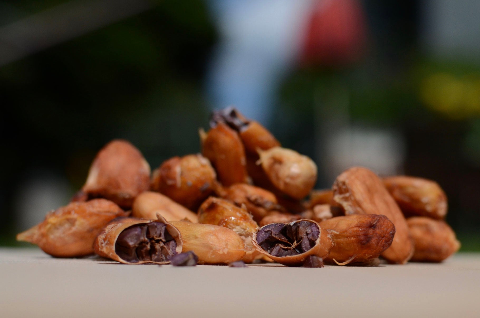 Kakaobohnen mit Fruchtfleisch - Rohkost aus Vietnam