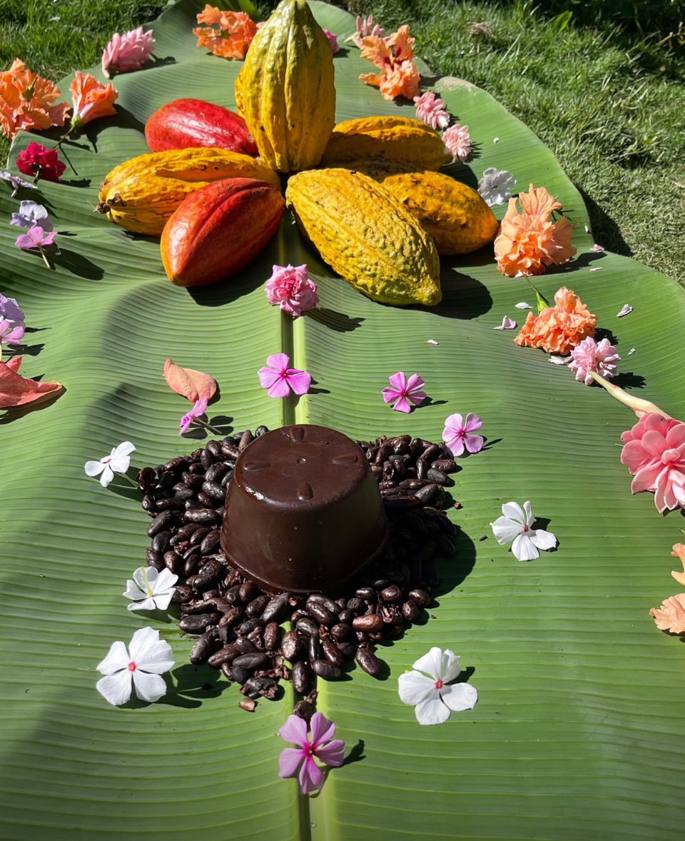 Ceremonial Wild Cacao from the Kogi of Colombia