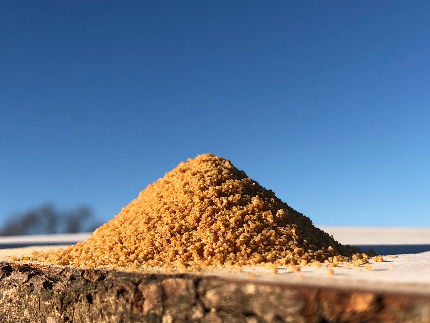 Kokosblütenzucker - der goldige